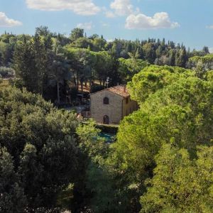 bugnolo23