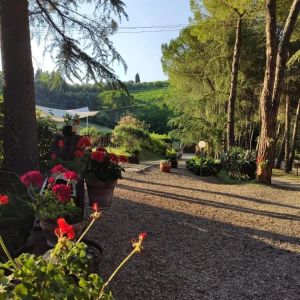 bugnolo24